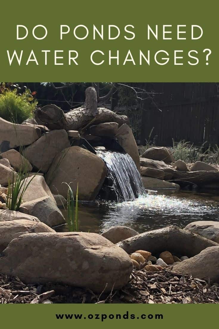 Do ponds need water changes