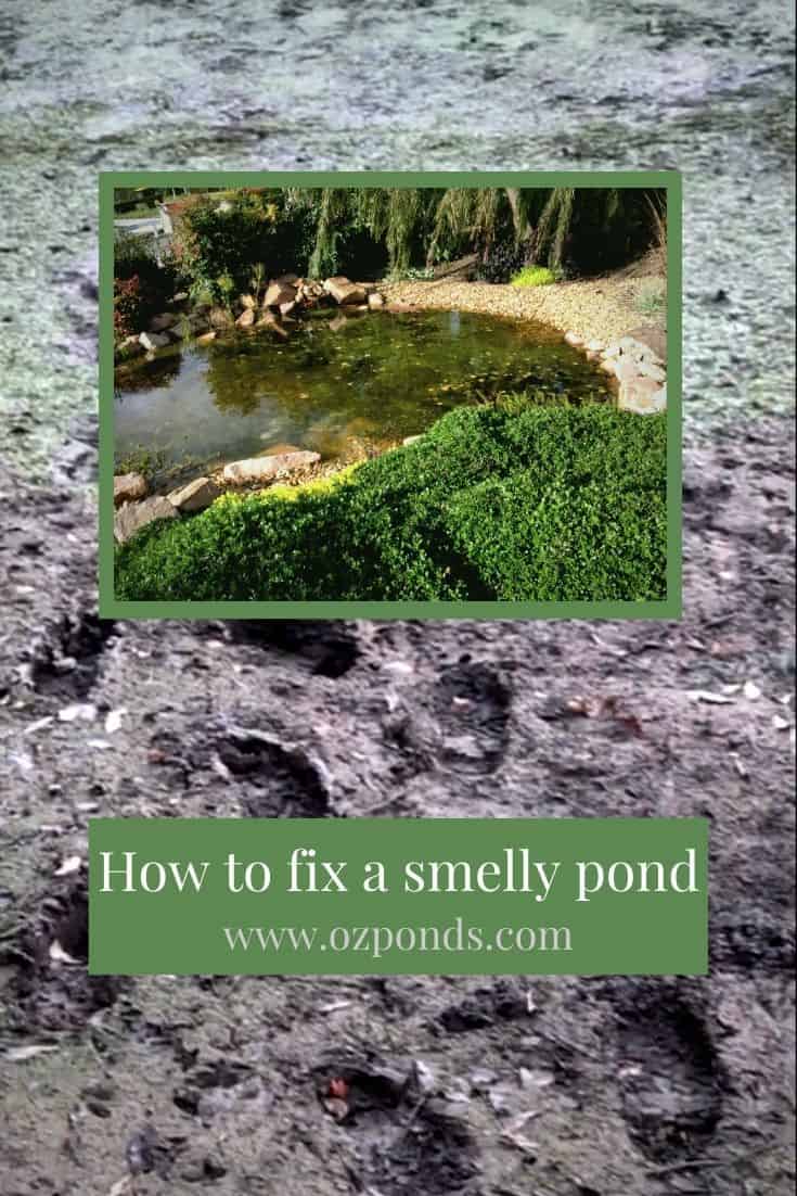 How to fix a smelly pond