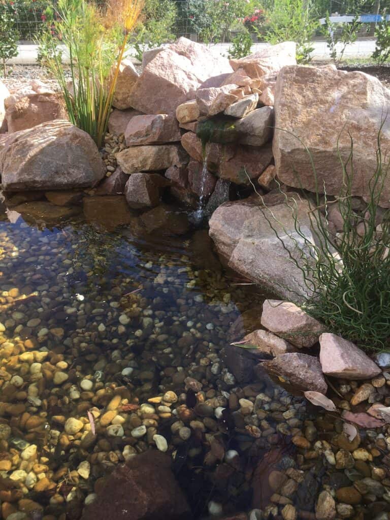 Murky Pond Water? Clear It Up! – pond boss