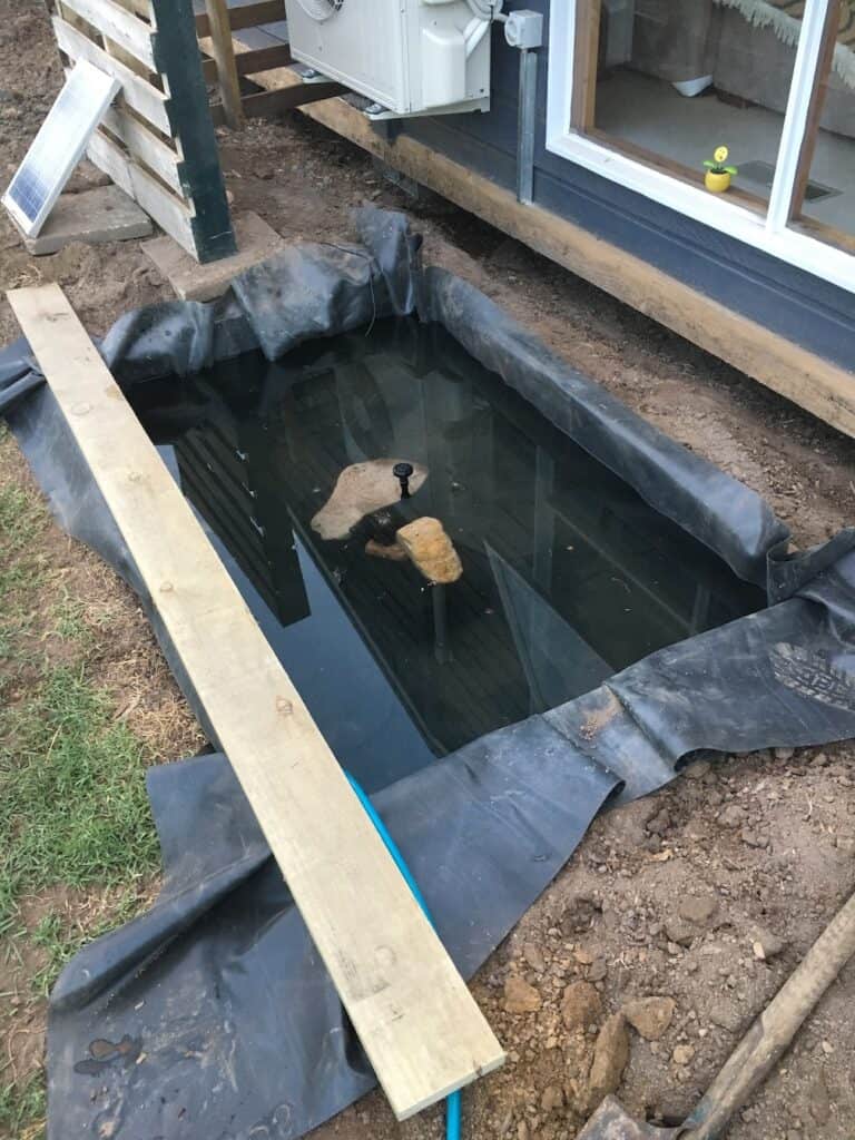 Building simple fish pond