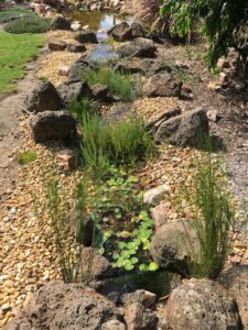 Frontyard pond and stream