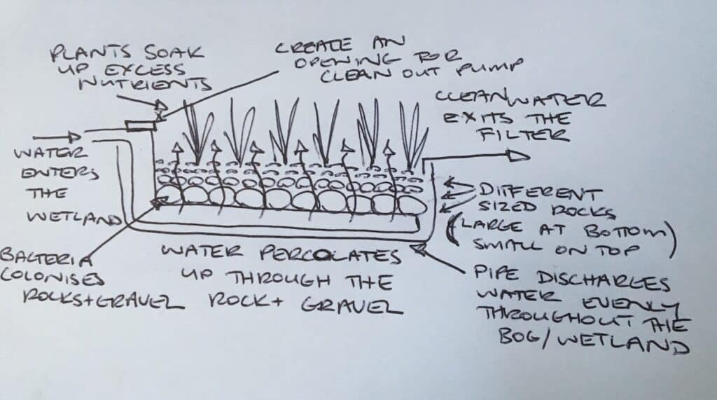 Pond bog/ wetland design principles 