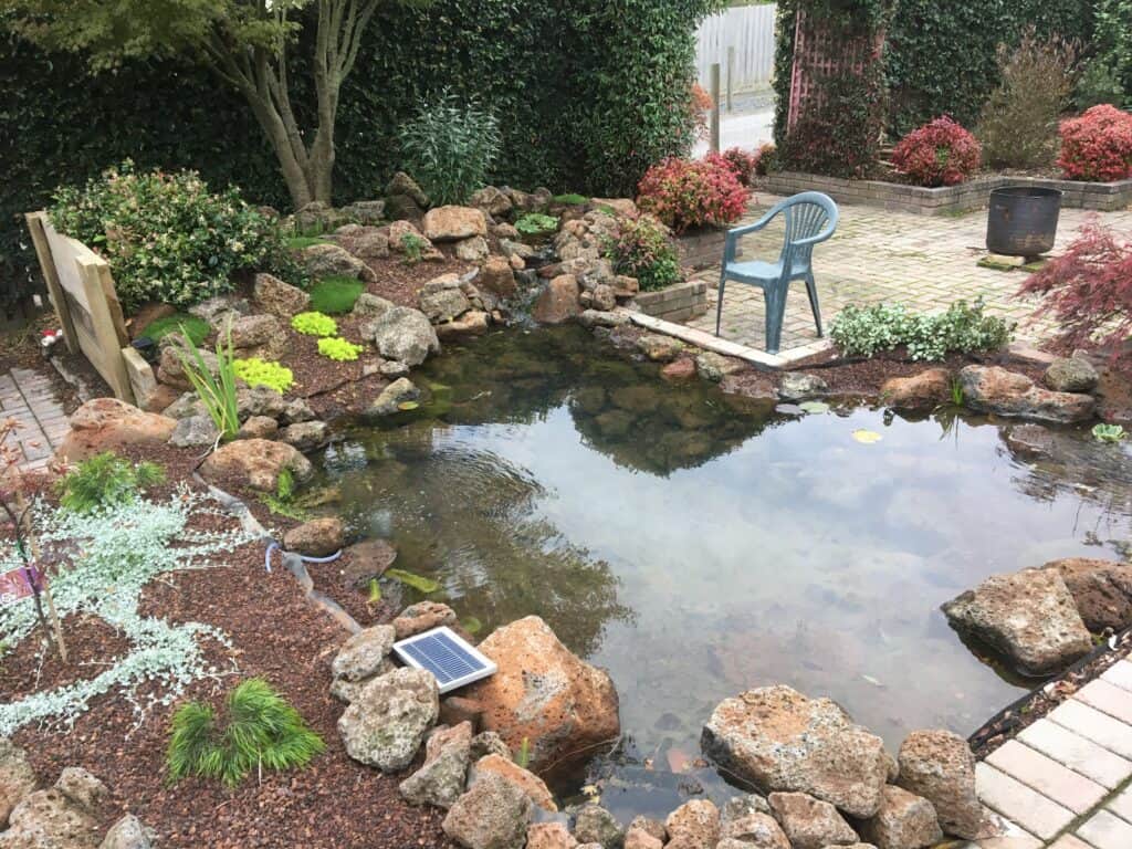 Large Pond Liner: Rubber vs Bentonite - Lonestar Minerals