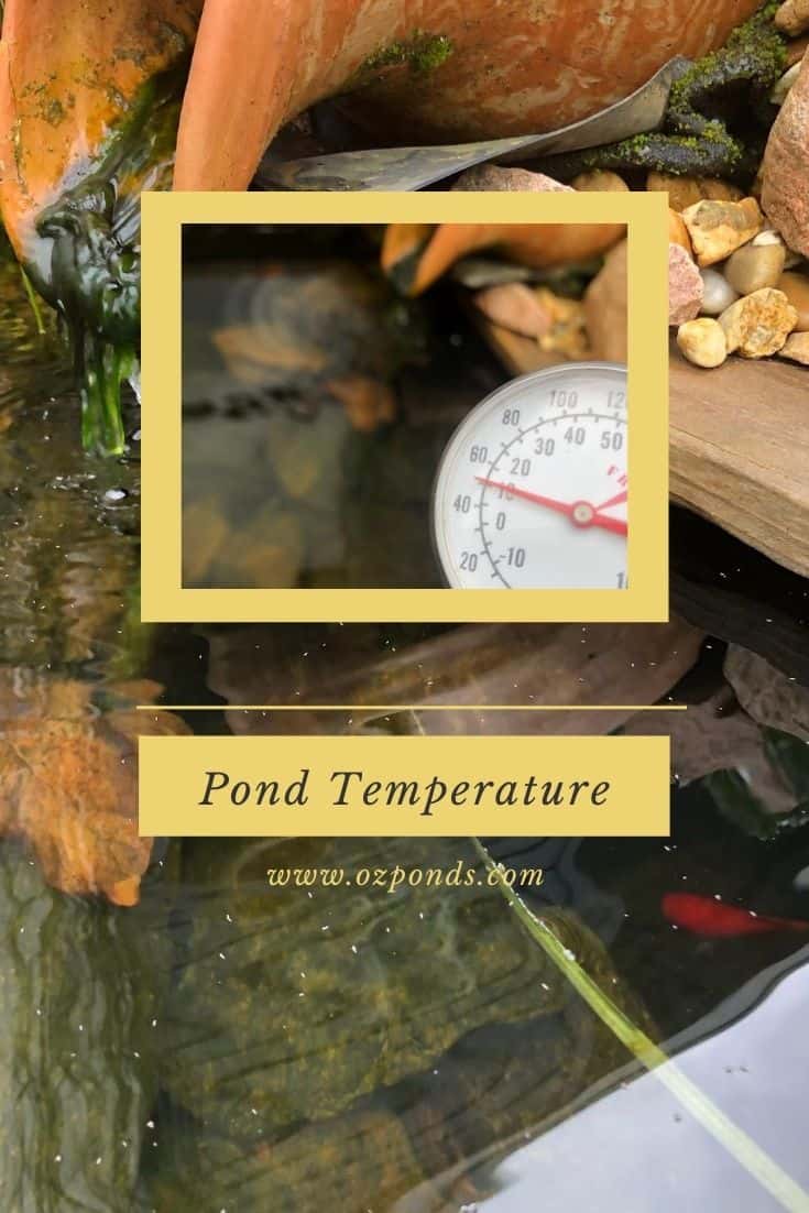 Pond-temperature