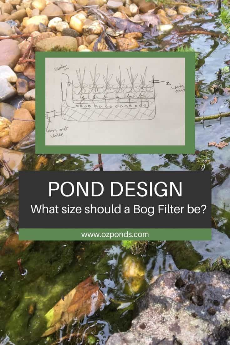 Bog filter design- What size should a bog filter be?