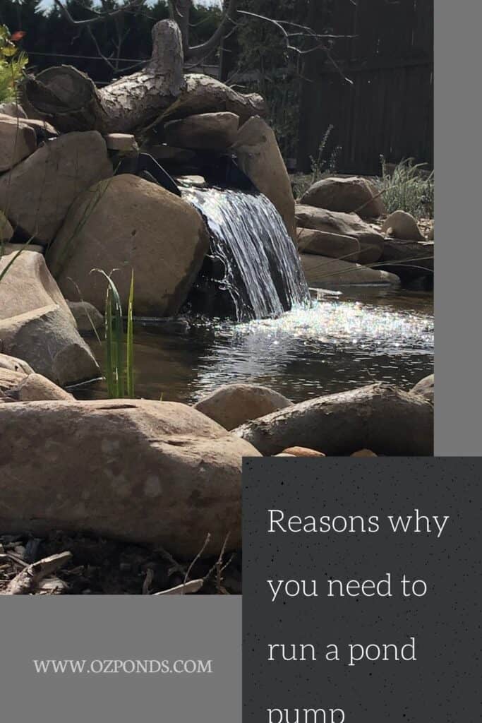 How long should i run my pond pump? Ozponds