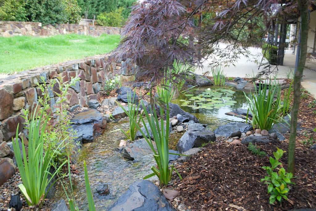 Ben harris-Donvale pond- Melbourne