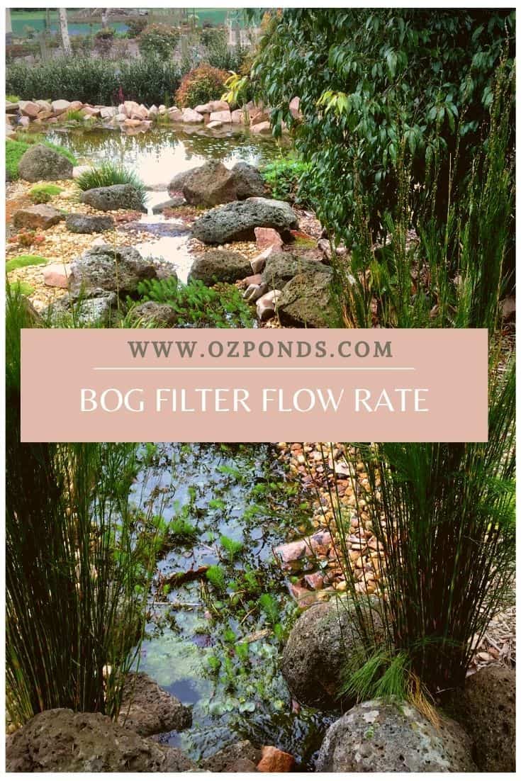 bog-filter-flow-rate