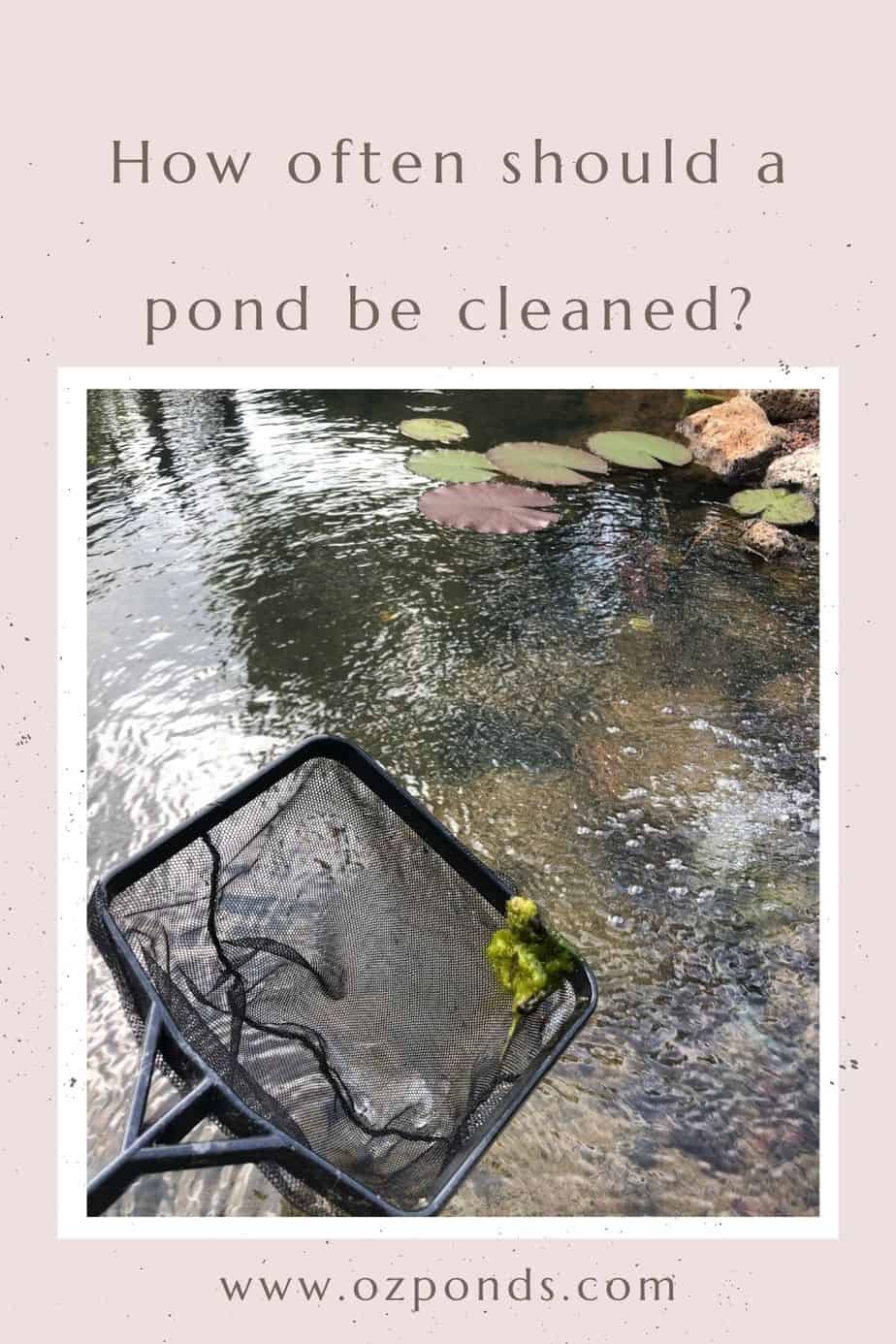 How often should a pond be cleaned?