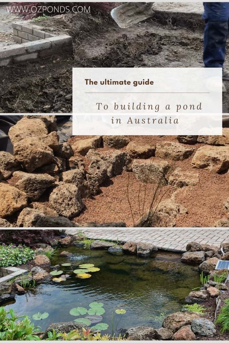 Build-Fish-Pond-Australia-Guide