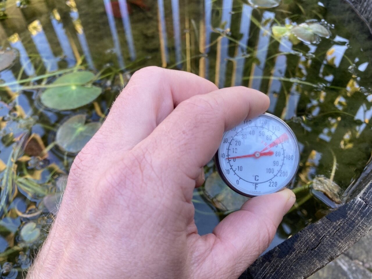 Pond temperature