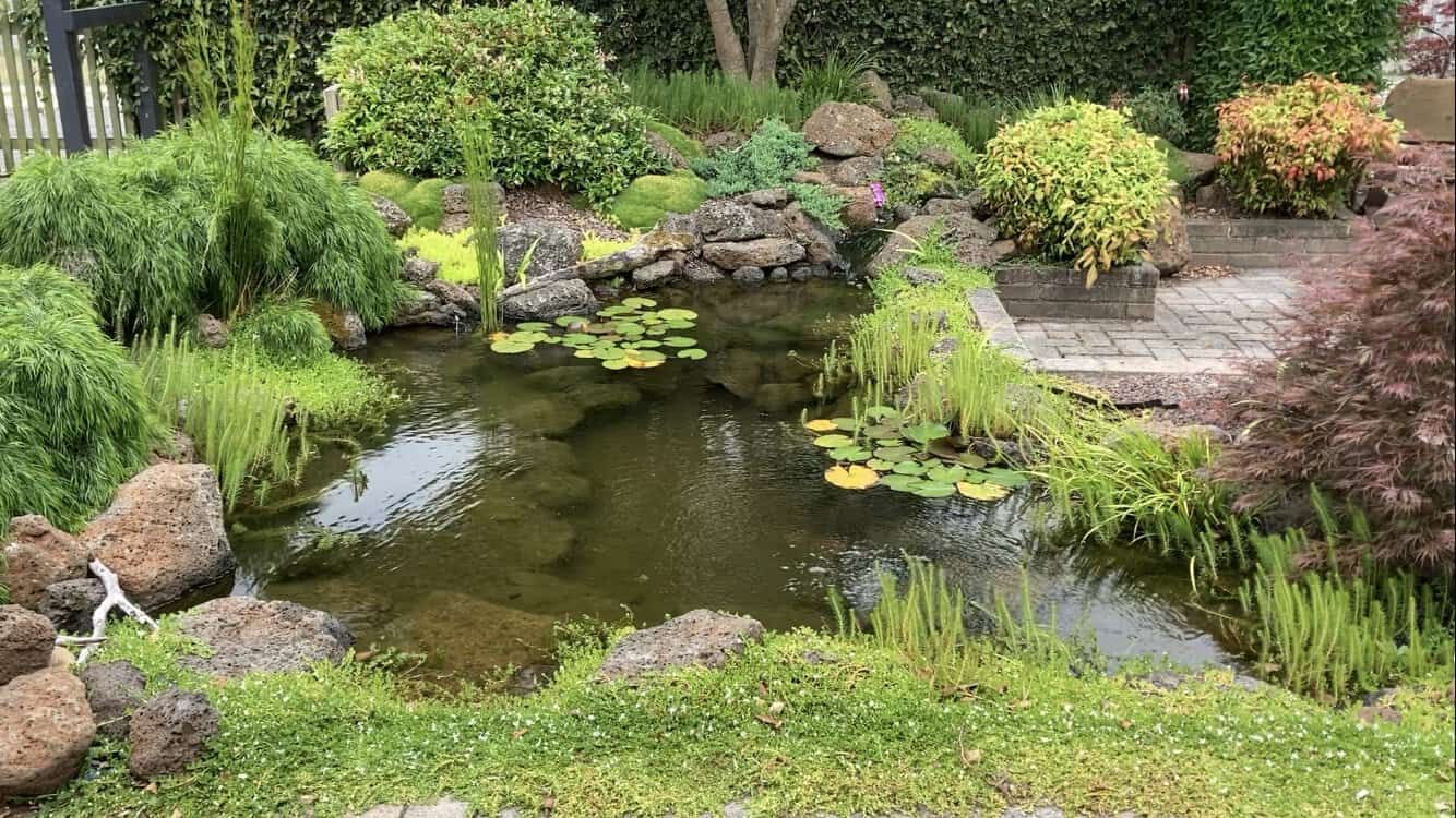 Courtyard pond-ozponds