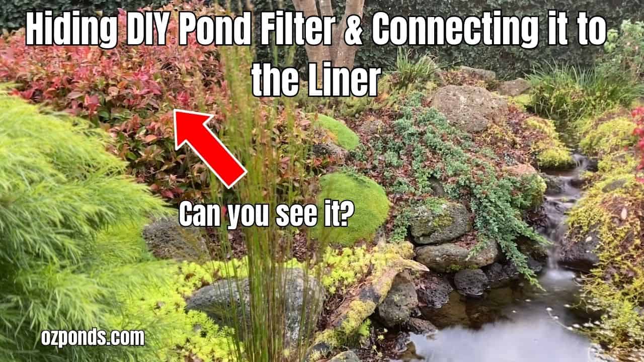 Hiding a DIY pond filter