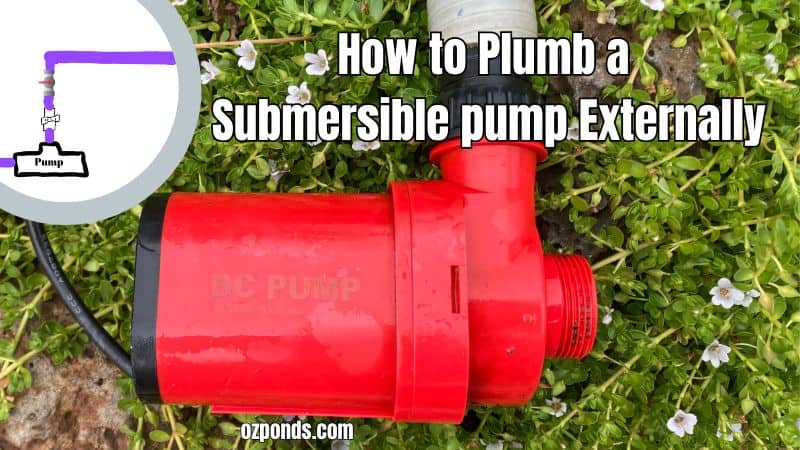 How to plumb a submersible pond pump externally