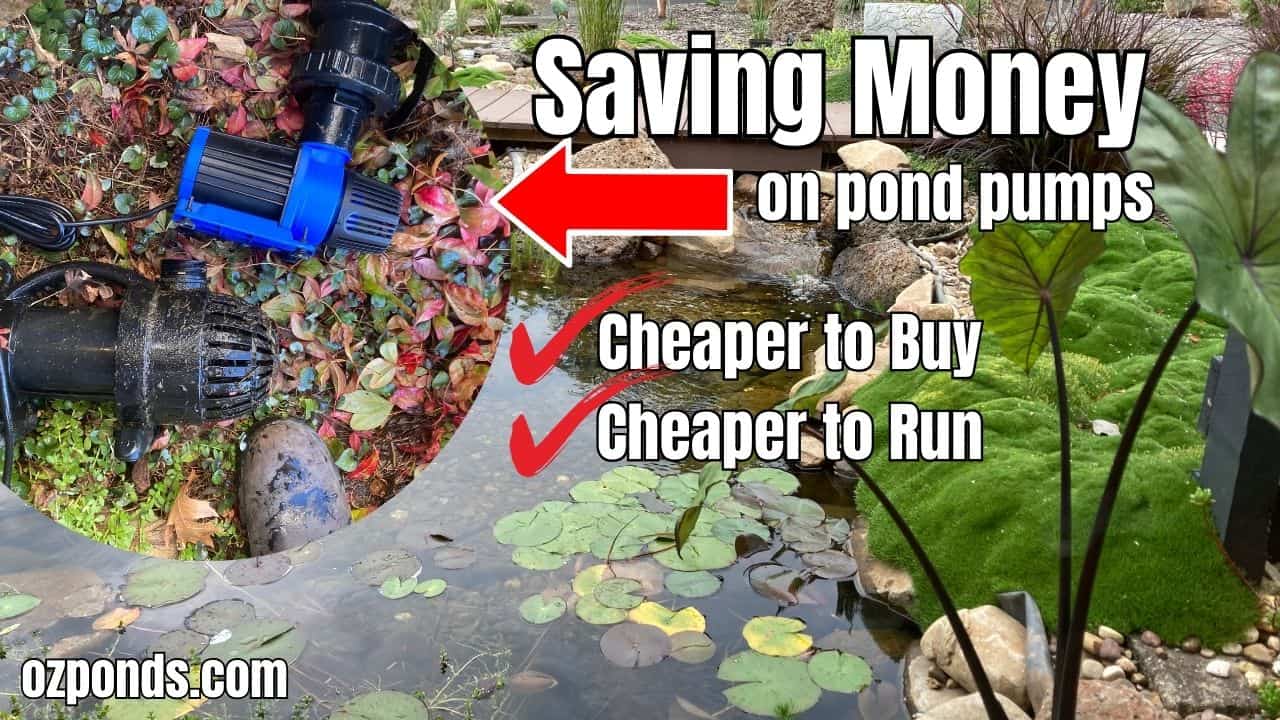 Saving Money on pond pumps-ozponds