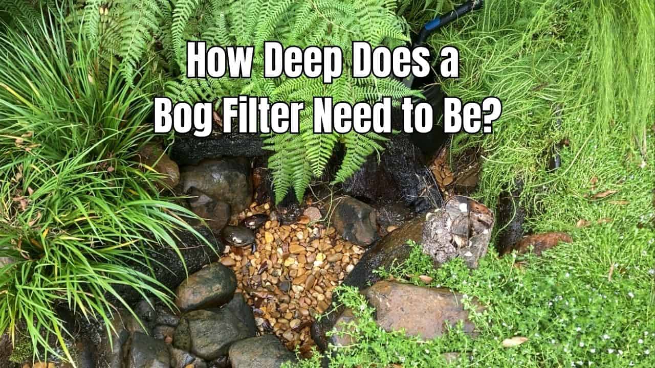 How Deep Does a Bog Filter Need to Be