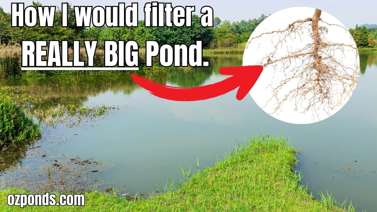 How to filter a big pond or dam