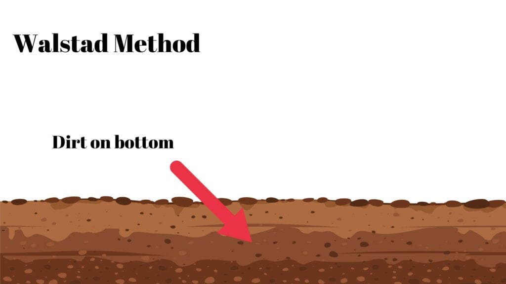 Walstad method- dirt substrate