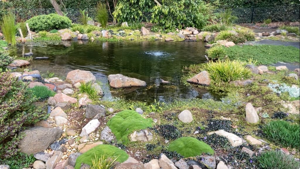 Large pond with 2 bog filters