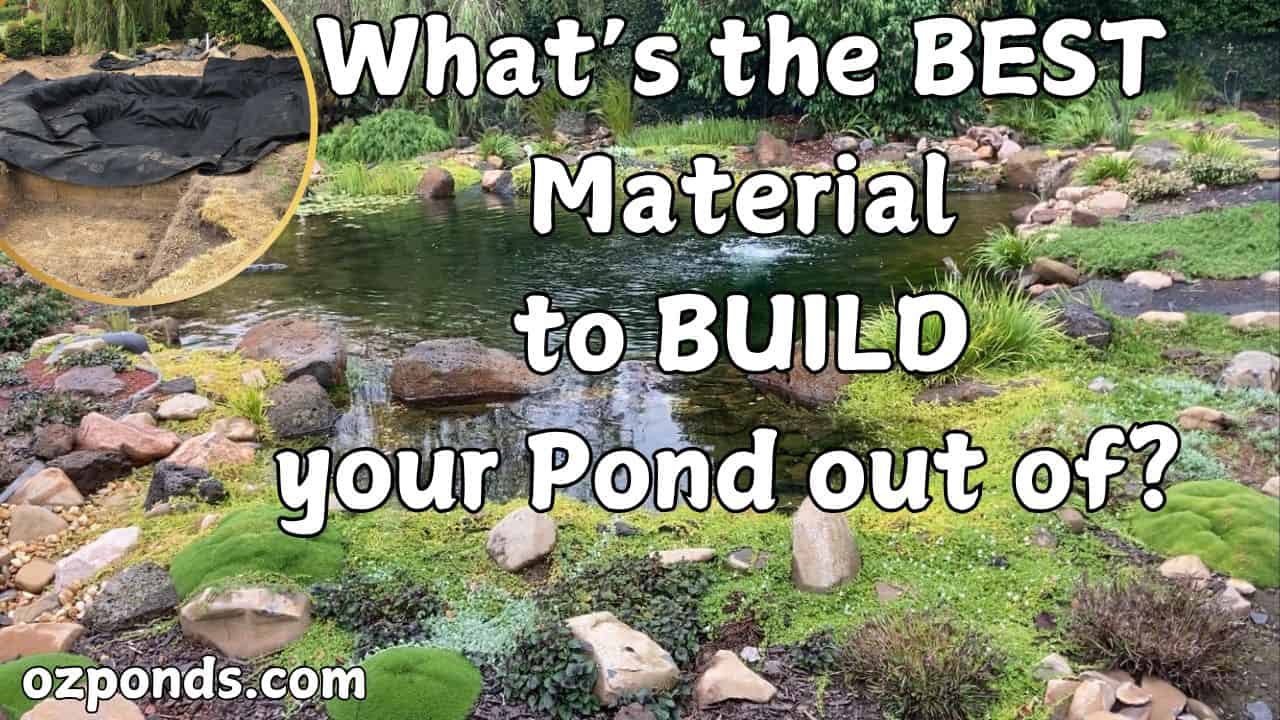 What’s the BEST Material to BUILD your Pond out of