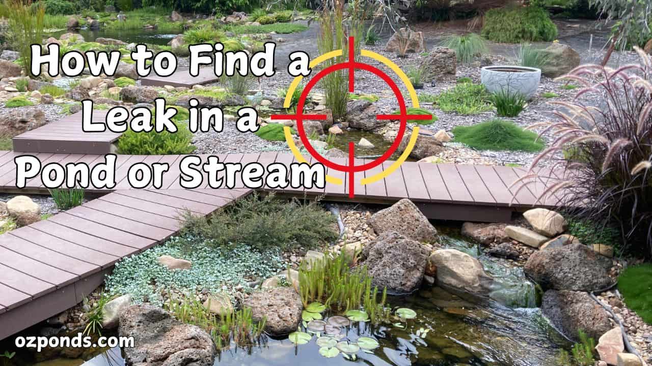 How to Find a Leak in a Pond or Stream