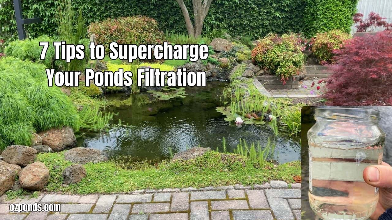 7 Things to supercharge your ponds filtration