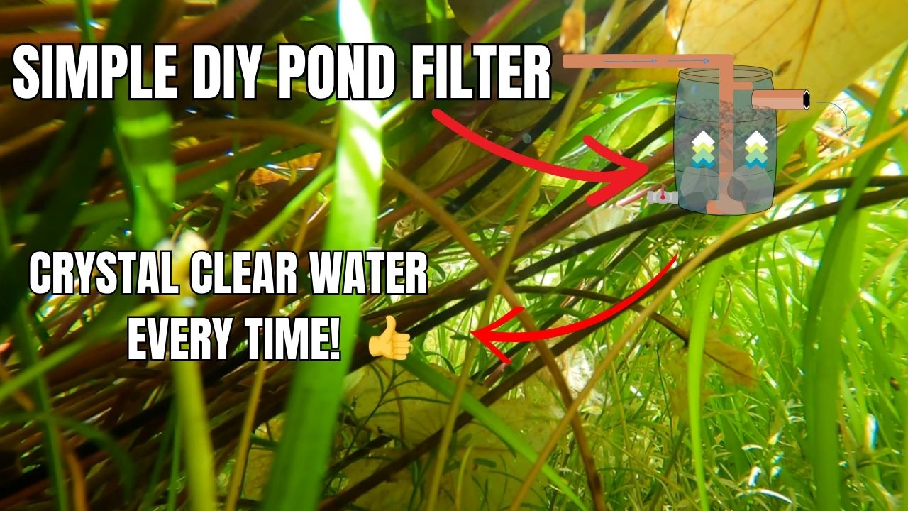 Building a simple DIY low maintenance pond with bog filter