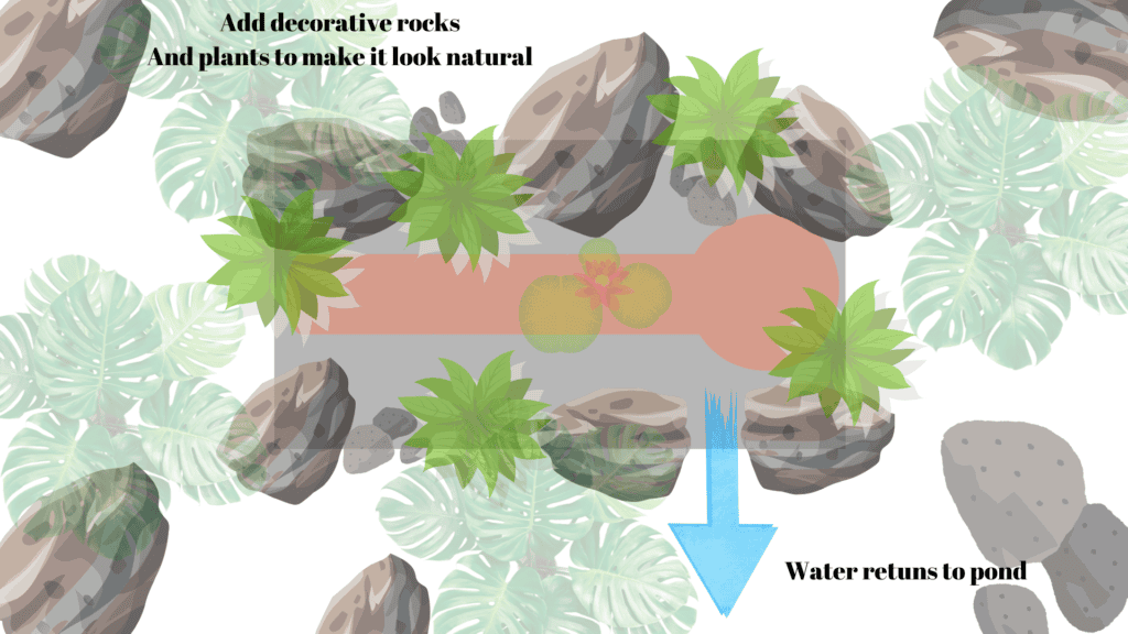 Large bog filter design