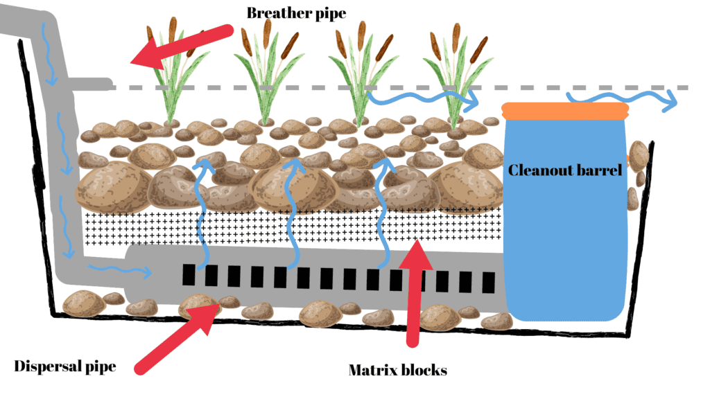 Large bog filter design