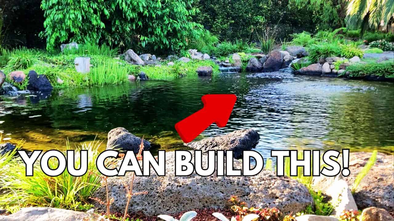 8 Reasons why you should build your own pond