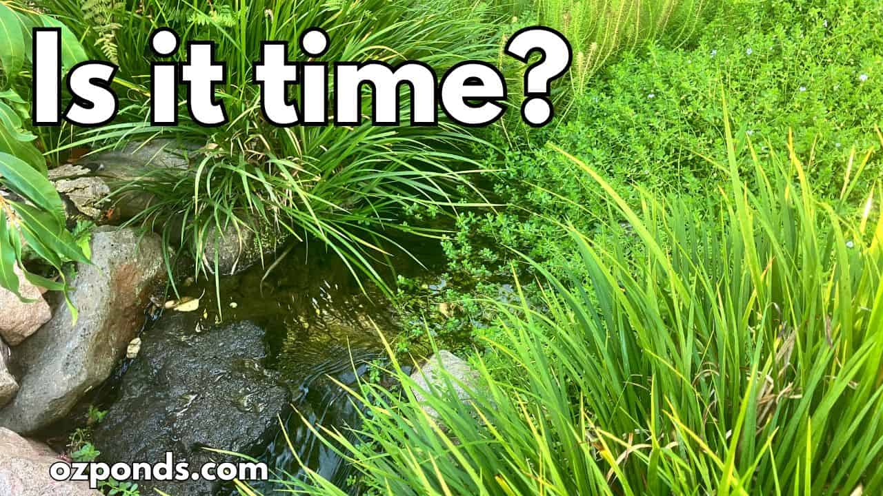 How to Maintain a Bog Filter