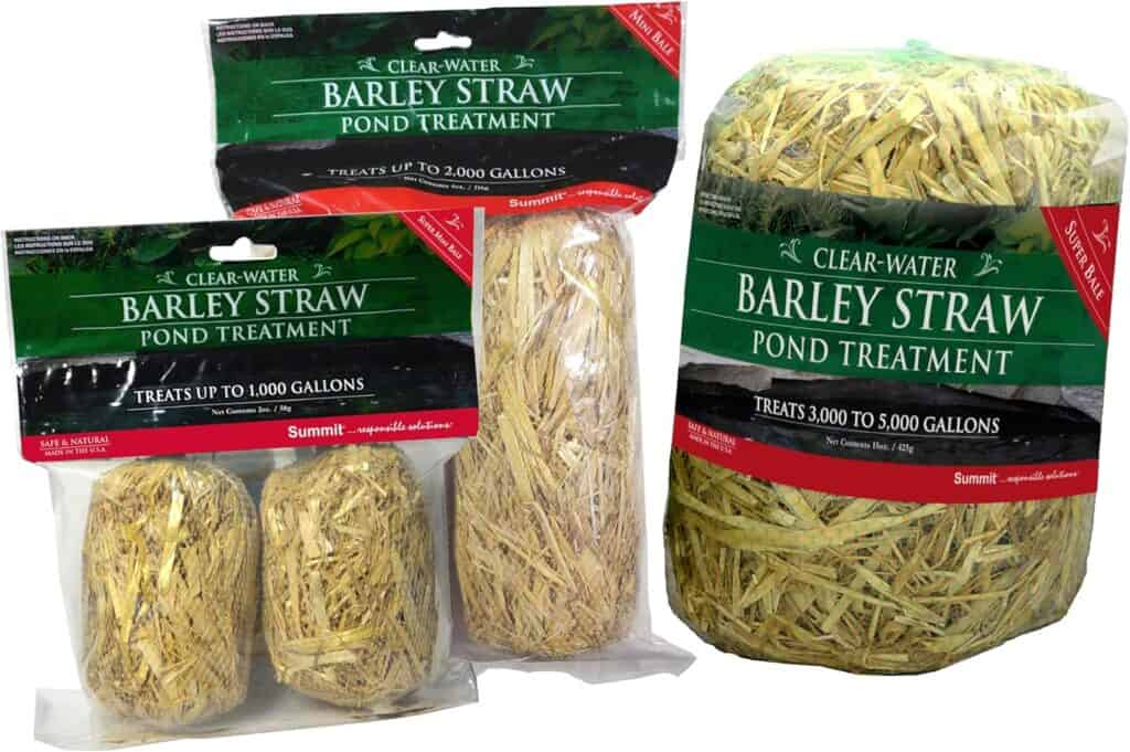 Barley straw