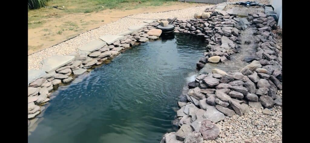 Dans pond