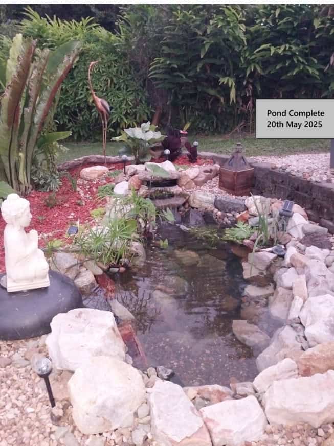 A $1,500 Backyard Pond on the Sunshine Coast — Built with Aussie Ingenuity
