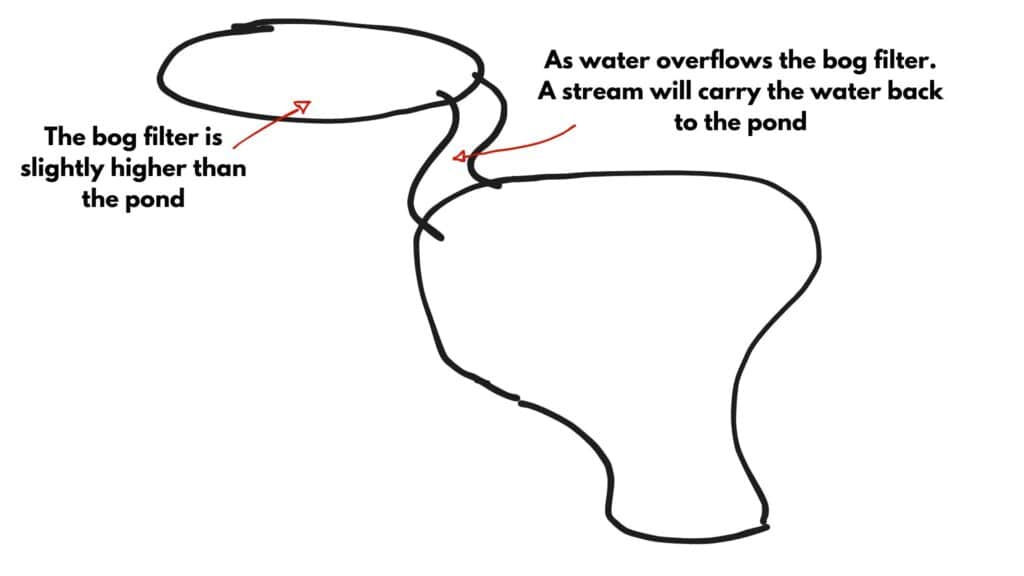 Larger duck pond design