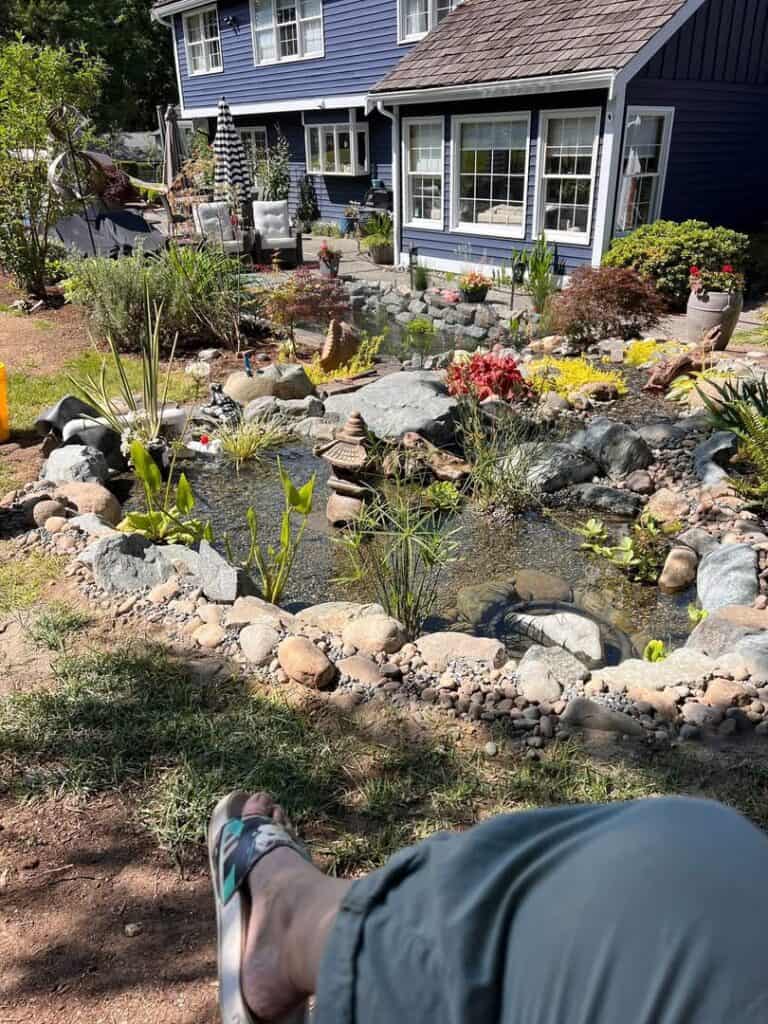 From BioFalls to Bog Filter: Natalie’s DIY Pond Makeover