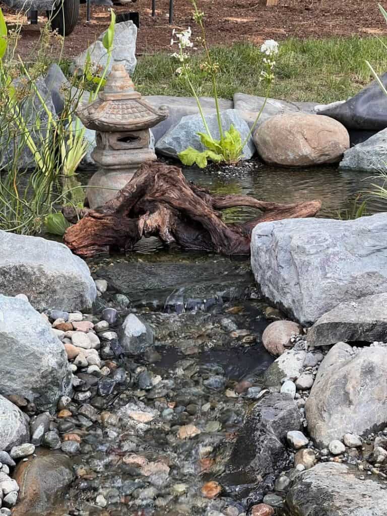 From BioFalls to Bog Filter: Natalie’s DIY Pond Makeover