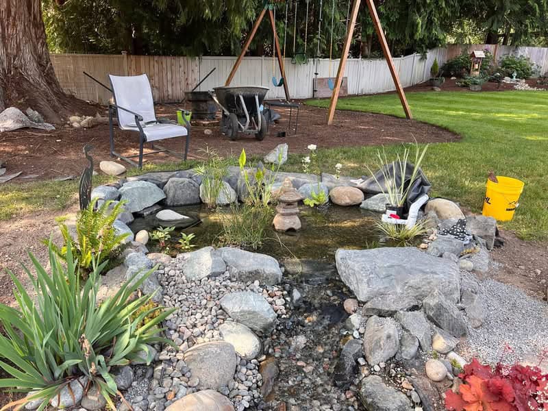 From BioFalls to Bog Filter: Natalie’s DIY Pond Makeover