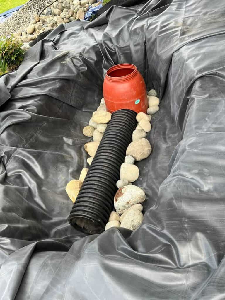 From BioFalls to Bog Filter: Natalie’s DIY Pond Makeover