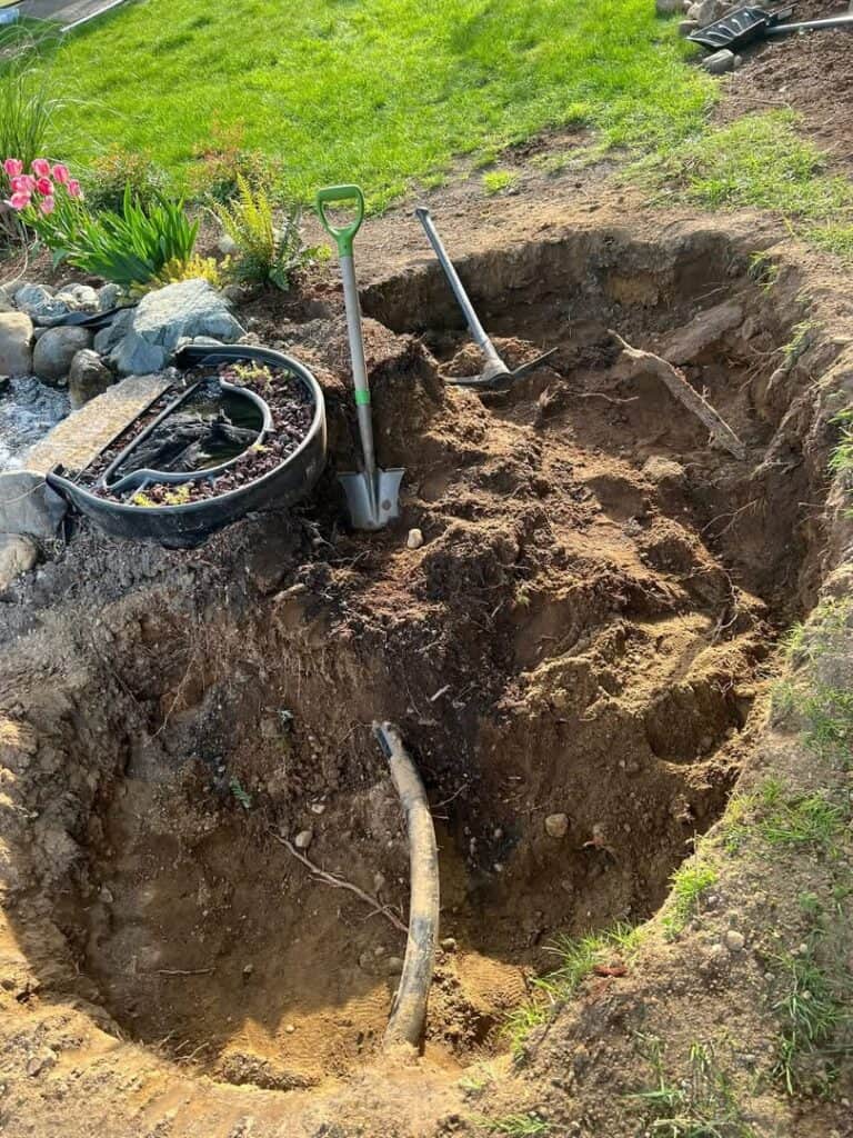 From BioFalls to Bog Filter: Natalie’s DIY Pond Makeover