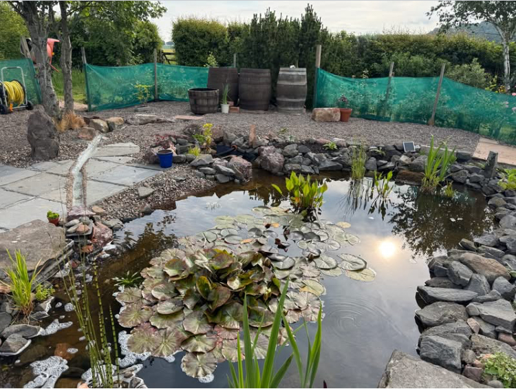 Scottish wildlife pond with bog filter and intakebay