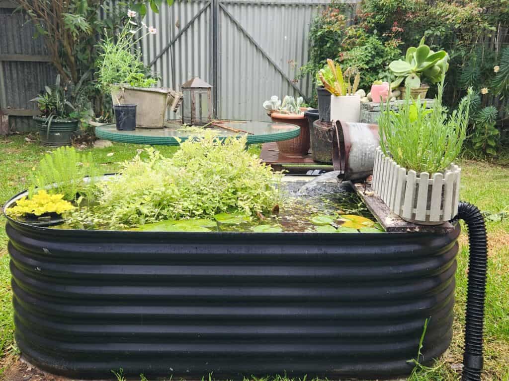 Lukes south Gippsland pond