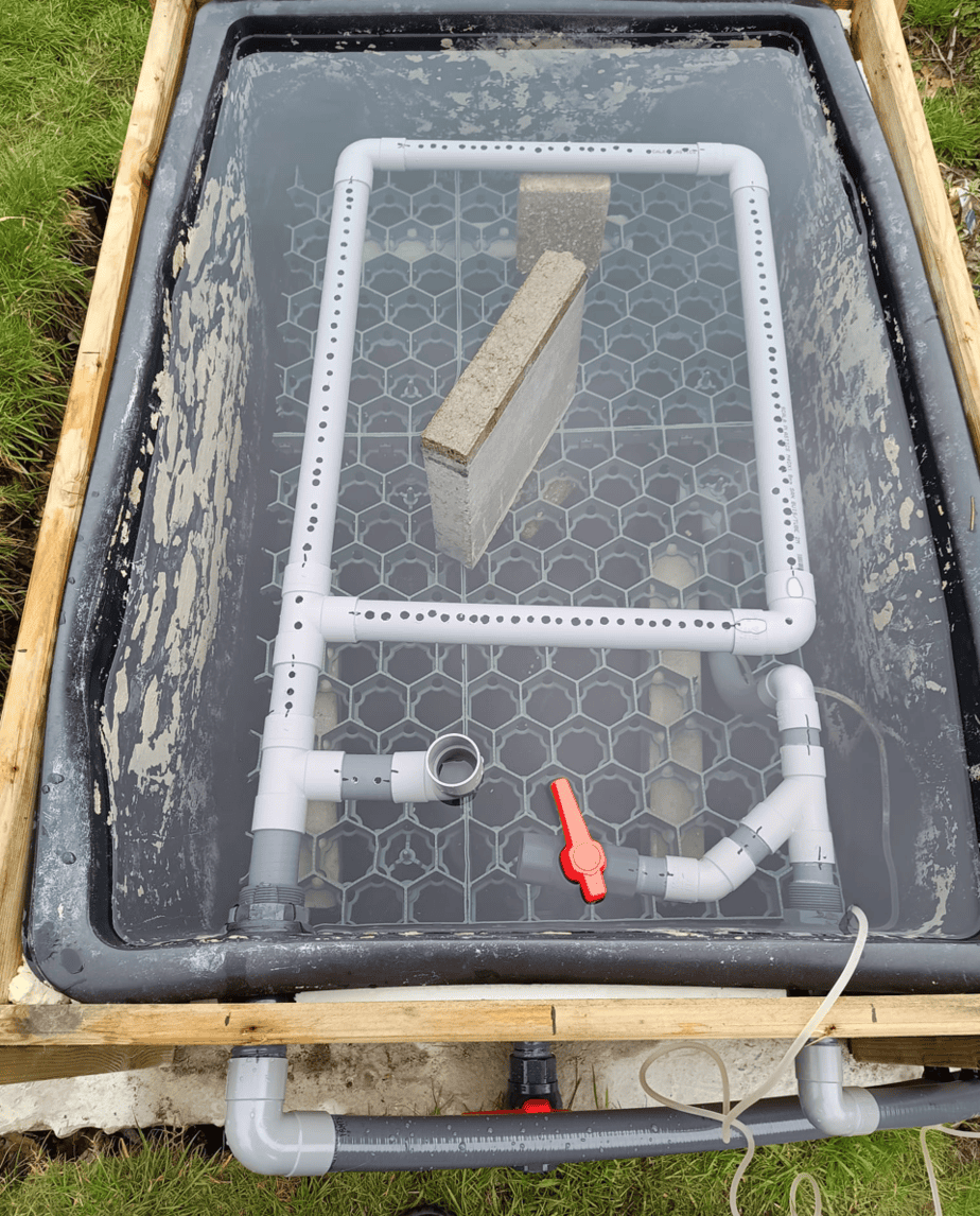 How Kris Turned an Old Pond Into a Powerful Bog Filter – Ozponds