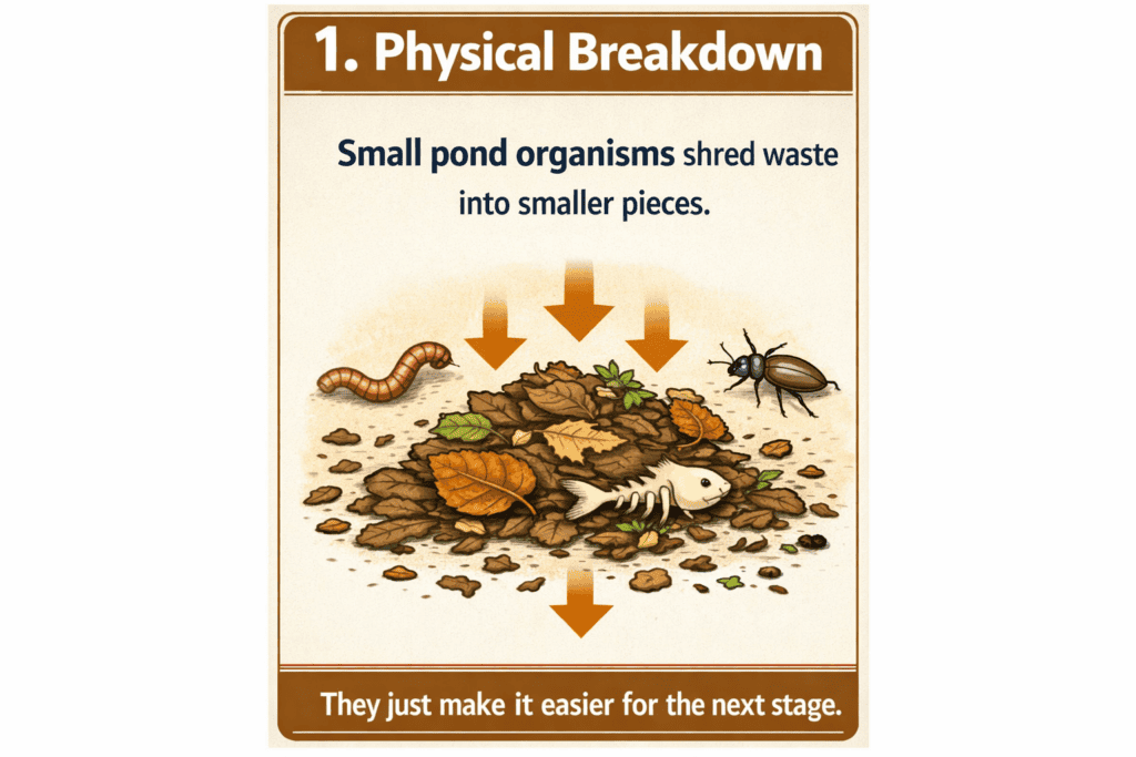 Physical breakdown of waste