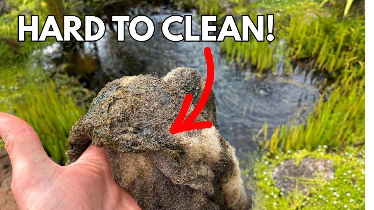 Stop Building Pond Filters You Can’t Clean