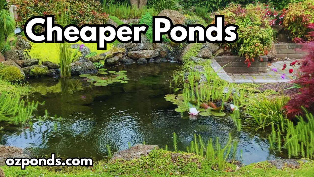 How to Build a Pond on a Budget (Even If You Have Less Than $100)