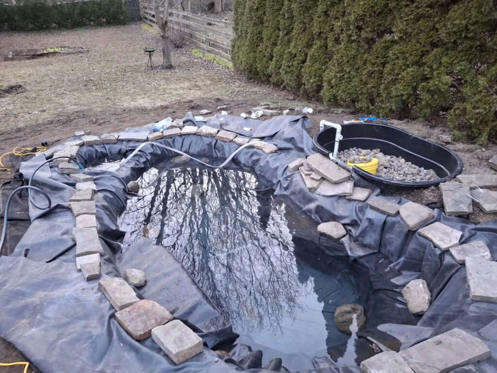 How I Built My Dream Pond After a Brutal Canadian Winter