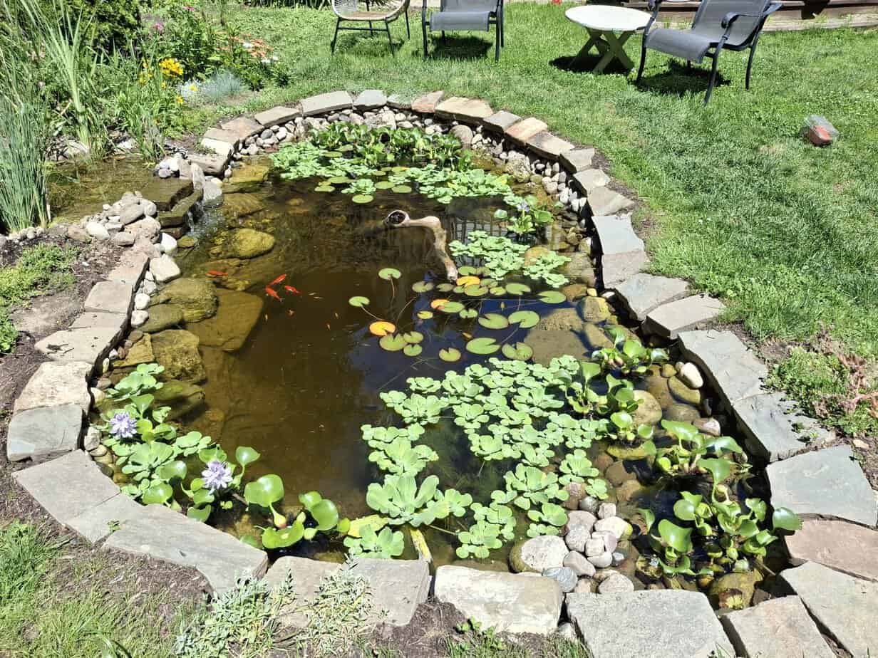 How I Built My Dream Pond After a Brutal Canadian Winter
