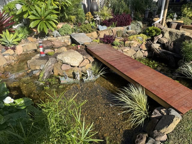 Dan's Sydney DIY Pond