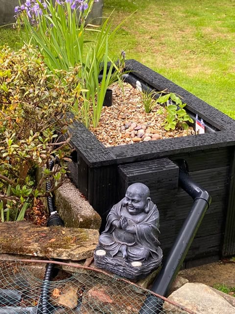 When Spring Turns Your Pond Green: Al's Experience with a Bog Filter in the UK